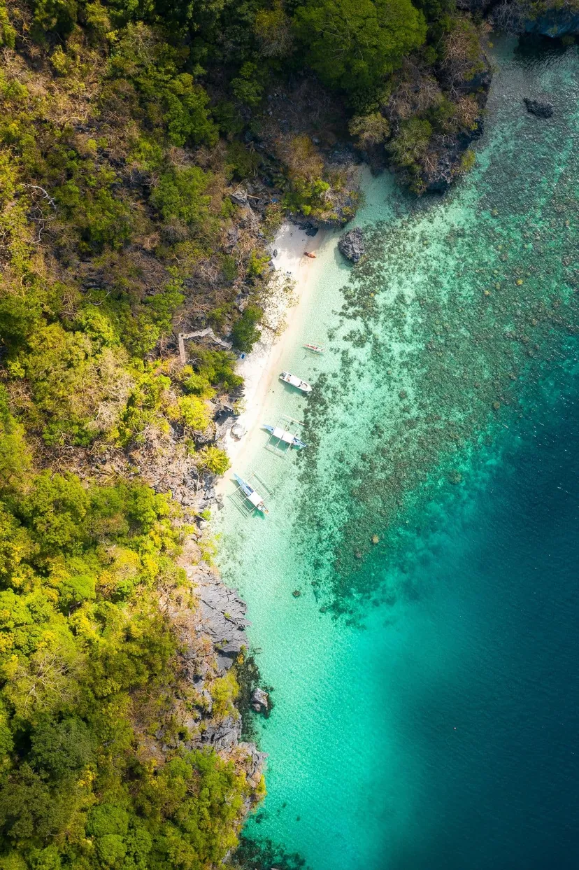 Travel Guide
