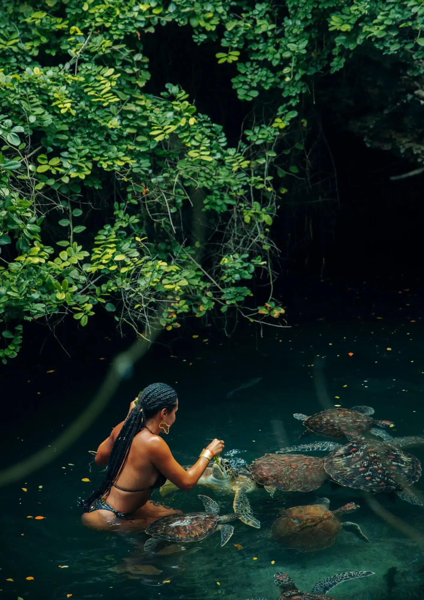 Zanzibar - The Hidden Gem of East Africa (Veterans Day)